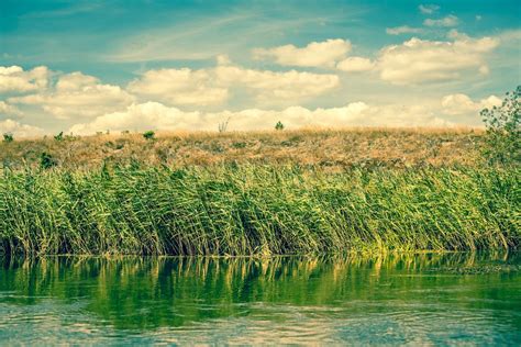 Vand Med Spejlbillede Af Naturen Vandl B Med Flot Natur Flot Natur