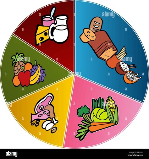 An image of a healthy food plate chart Stock Vector Image & Art - Alamy