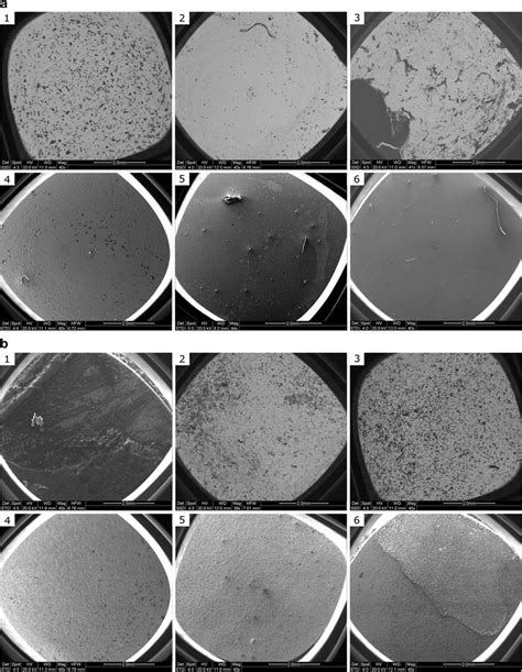 Plaque Accumulation On Titanium Disks With Different Surface Treatments