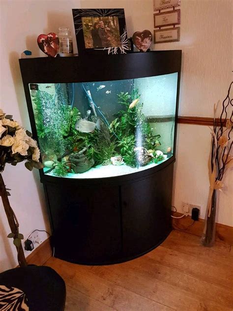 Corner tropical fish tank large aquarium 280L | in Turriff, Aberdeenshire | Gumtree