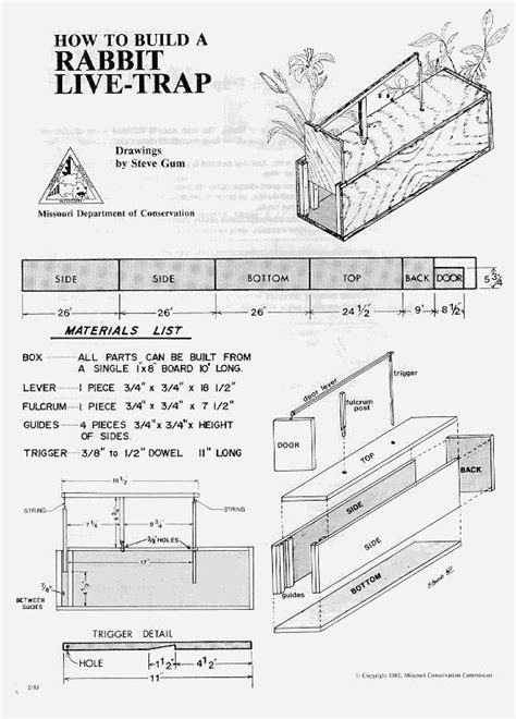 rabbit box trap plans | Rabbit traps, Rabbit hunting, Mouse trap diy