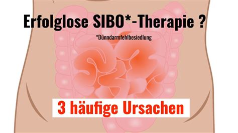 Sibo D Nndarmfehlbesiedlung Therapie Ohne Erfolg Mein Rztliche