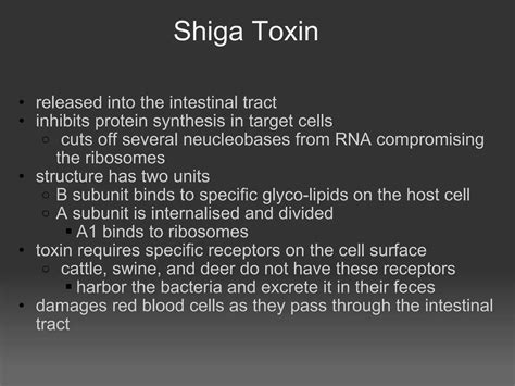 Escherichia Coli H Ppt