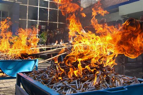 Bea Cukai Banyuwangi Musnahkan Rokok Dan Miras Ilegal ANTARA Foto