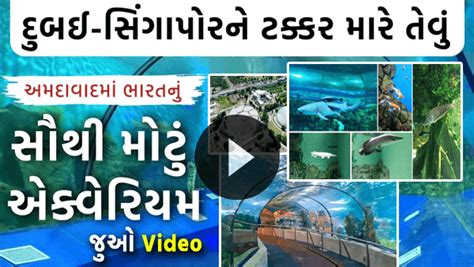 Country largest Aquatic Gallery in Ahmedabad