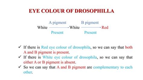 Complementation Test Ppt