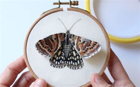 Stumpwork Embroidery For Beginners