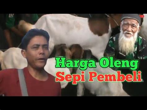 Harga Oleng Sepi Pembeli Update Harga Kambing Gondrekan Di Pasar