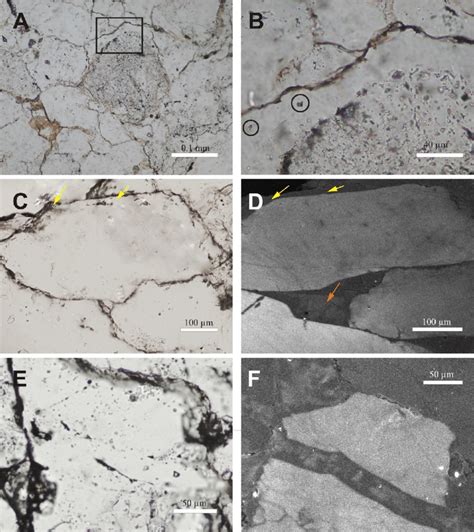 Photomicrographs Parallel Nicholls And Sem Cl Of The Host Rock A