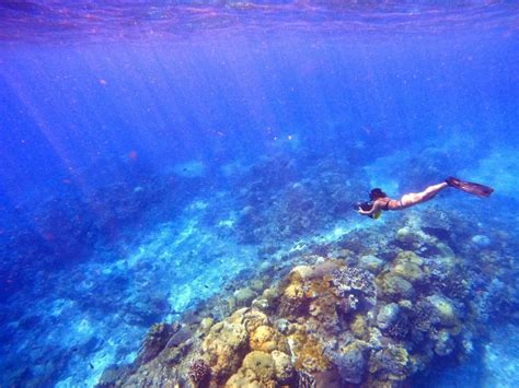 7 Fakta Mencengangkan Pulau Natal Surga Tersembunyi