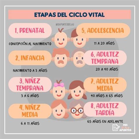 Etapas Del Ciclo Vital Imagenes De Psicologia Psicologia Del