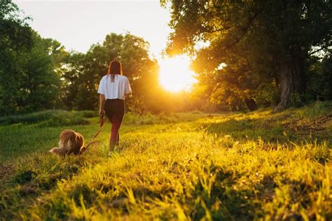 Non solo fa bene alla digestione ecco perché dovresti camminare