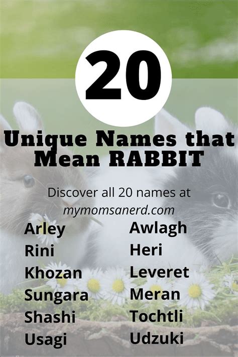 Hop To It And Check Out Our Awesome Names That Mean Rabbit Or Bunny