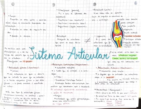 MAPA MENTAL SISTEMA ARTICULAR Biologia