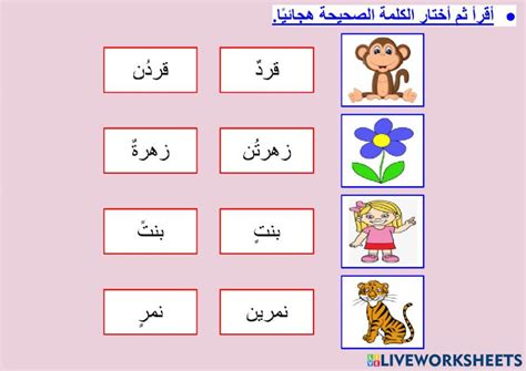 التنوين ١ 996660 Rana Abuzour Live Worksheets