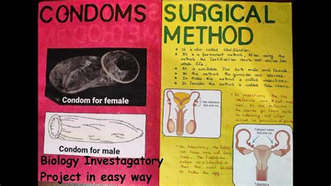 Biology Investigatory Projects Reproductive Health Youtube