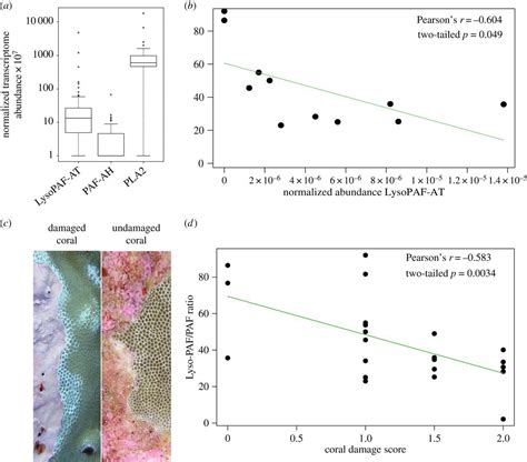 Metabolomics Of Reef Benthic Interactions Reveals A Bioactive Lipid