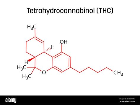 Tetrahydrocannabinol Or Thc Molecular Structure Tetrahydrocannabinol