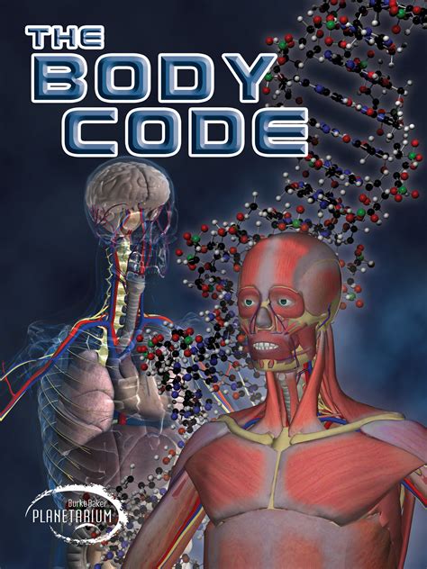 The Body Code Map