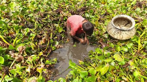 Amazing Traditional Boy Fish Catching By Hand In Water Amazing Hand