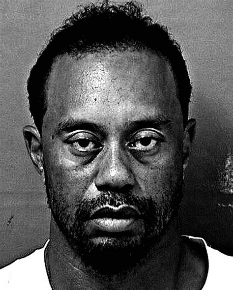 Tiger Woods Mug Shot Mug Shots Celebrity Mugshots Famous Mugshots