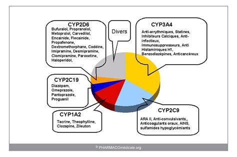 Variations du métabolisme hépatique des médicaments