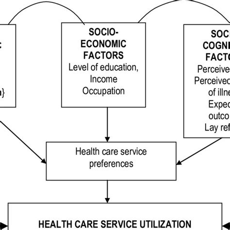 A Conceptual Framework Of Health Seeking Behaviour Download