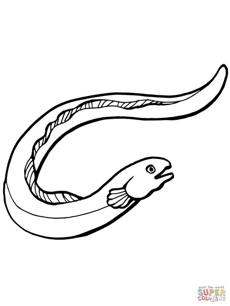 Electric Eel Coloring Page at GetColorings.com | Free printable ...