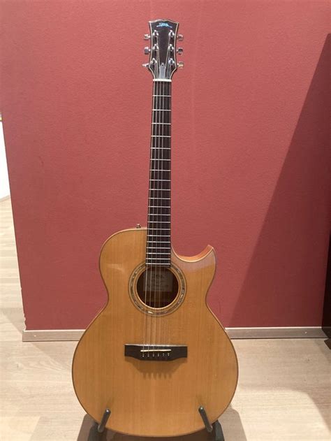 BSG Akustische Gitarre Mit Tonabnehmer Und Cutaway Kaufen Auf Ricardo