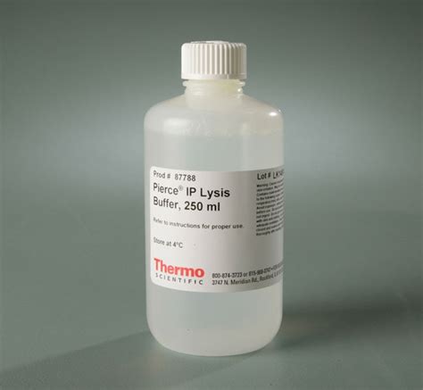 Pierce Ip Lysis Buffer Thermo Fisher Scientific