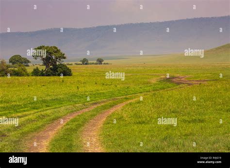 View Over Ngorongoro Crater Tanzania East Africa Unesco World