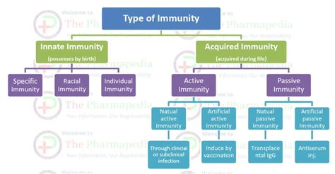 Classes Of Immunity