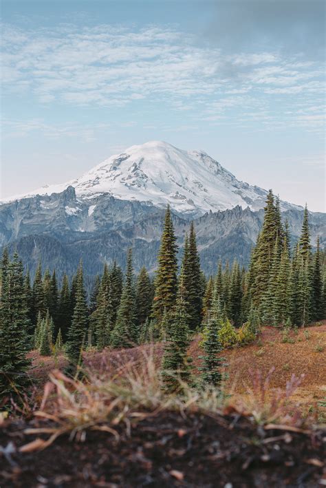 Mount Rainier Photos, Download The BEST Free Mount Rainier Stock Photos ...