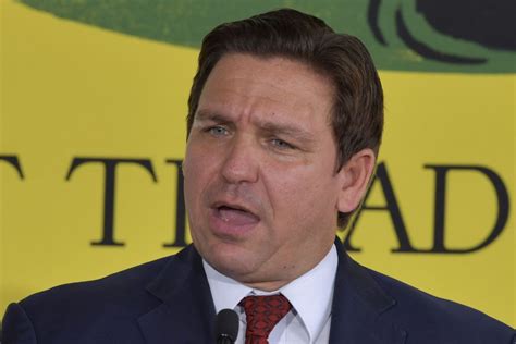 Ron DeSantis Losing Votes Due To "high Profile Issues" With Women ...