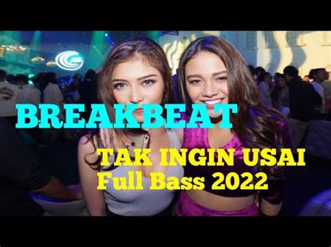 DJ TAK INGIN USAI KEISYA LEVRONKA BREAKBEAT REMIX FULL BASS 2022