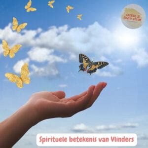 Betekenis Vlinders Spirituele Kracht Transformatie Groei