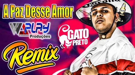 Remix A Paz Desse Amor Bonde Do Gato Preto Vs Silvanno Salles Youtube