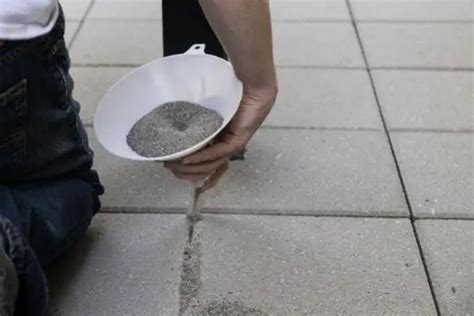 Polymeric Sand Vs Regular Sand For Pavers — Which Is Better
