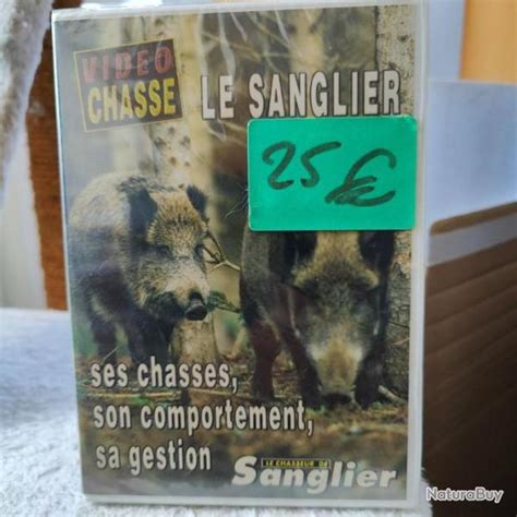 Dvd Le Sanglier Ses Chasses Son Comportement Sa Gestion Dvd