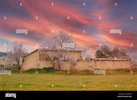 Beautiful Sunrise Over An Adobe House With A Blossom Tree Stock Photo