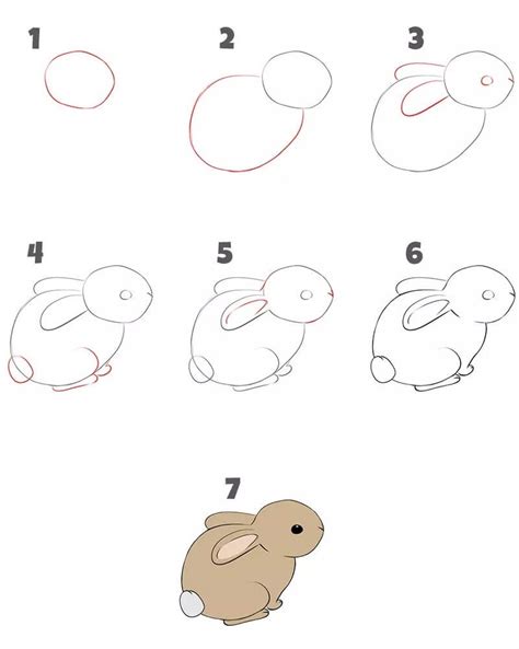 How To Draw An Easy Rabbit Step By Step Drawing Photos