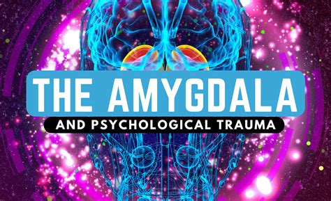 The Amygdalas Role In Psychological Trauma 6 Ways It Works On Your