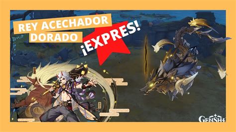 GUÍA EXPRES REY ACECHADOR NOCTURNO GENSHIN IMPACT YouTube