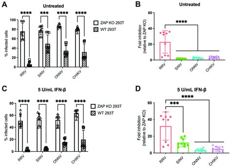 Alphavirus Replication Shows Differential Sensitivity To Endogenous Zap