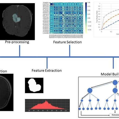 A Scheme Representing The Process Of Developing A Radiomics Model 1 Download Scientific