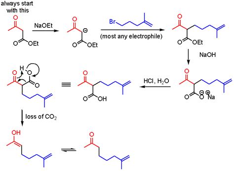 MALONIC AND ACETOACETIC ESTER SYNTHESIS PDF