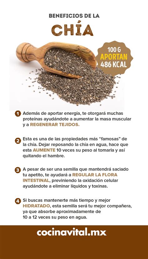 Infografia los beneficios de la chía Artofit