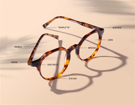 The Different Parts Of Eyeglasses Blog Eyebuydirect