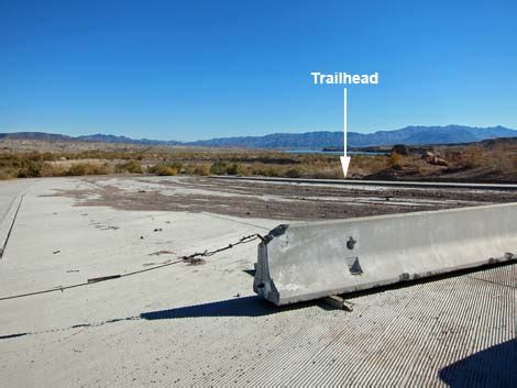 Birding Around Las Vegas Lake Mead Area Boat Ramp Lakeshore Trail