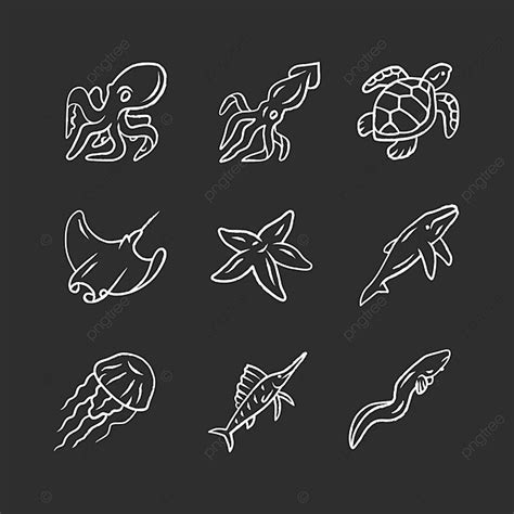 Chalk Icons Of Sea Creatures Octopus Starfish Jellyfish And More Vector